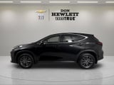 2025 Lexus NX - Preview 2