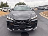 2024 Lexus NX - Preview 8