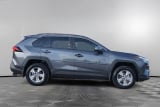2025 Toyota RAV4 - Preview 4