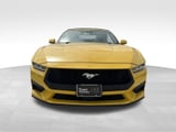 2024 Ford Mustang - Preview 2