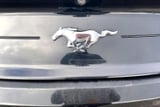 2018 Ford Mustang - Preview 9