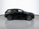 2026 Lexus NX - Preview 4