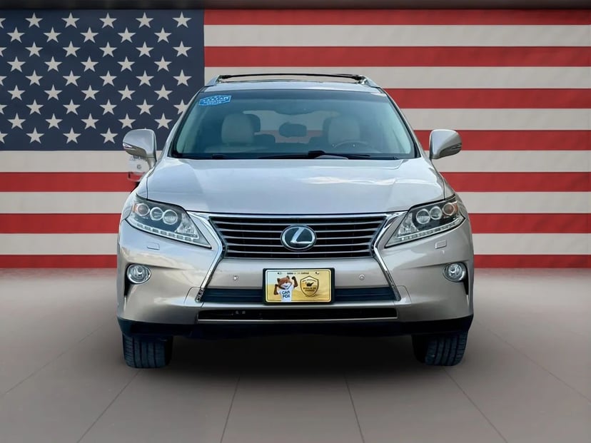 2013 Lexus RX - Image 1