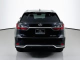 2021 Lexus RX - Preview 6