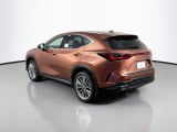 2026 Lexus NX - Preview 7