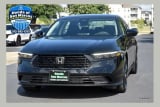 2026 Honda Accord - Preview 2