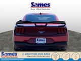 2025 Ford Mustang - Preview 4