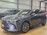 2024 Lexus RX - Preview 2