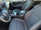 2023 Toyota RAV4 - Preview 8
