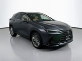 2025 Lexus NX - Preview 3
