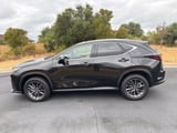 2024 Lexus NX - Preview 2
