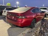 2023 Honda Accord - Preview 4