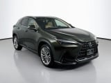 2025 Lexus NX - Preview 3