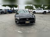 2022 Ford Mustang - Preview 3