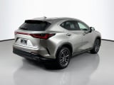 2025 Lexus NX - Preview 5