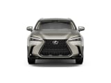 2026 Lexus NX - Preview 5