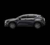 2026 Lexus NX - Preview 3