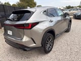 2026 Lexus NX - Preview 5