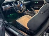 2019 Ford Mustang - Preview 13