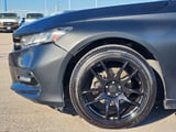 2019 Honda Accord - Preview 6