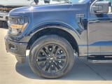 2026 Ford F-150 - Preview 6