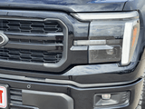 2025 Ford F-150 - Preview 8