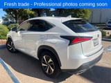 2019 Lexus NX - Preview 6