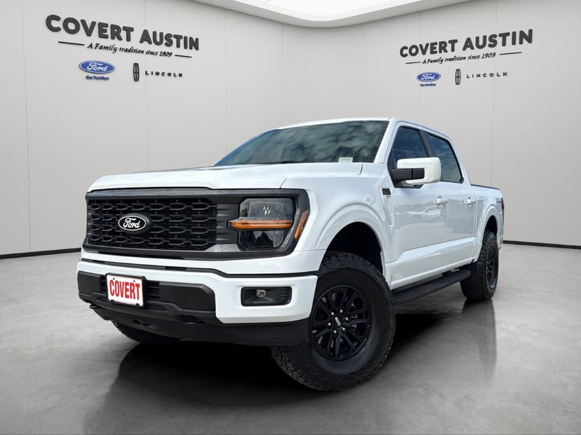 2025 Ford F-150 - Image 1