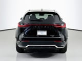 2024 Lexus NX - Preview 6