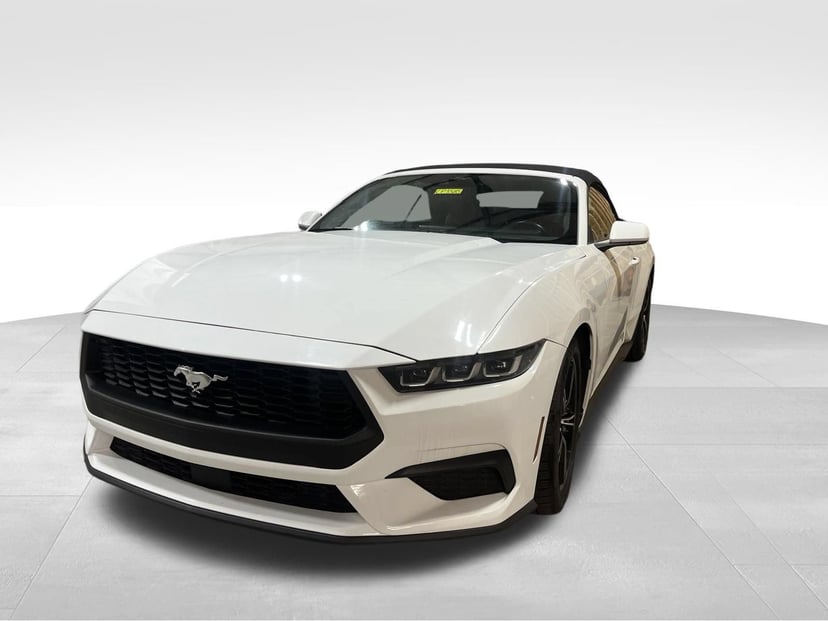 2024 Ford Mustang - Image 1