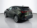 2025 Lexus NX - Preview 7