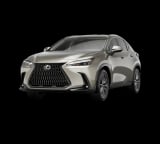 2026 Lexus NX - Preview 2