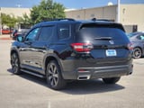 2025 Honda Pilot - Preview 5