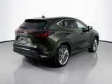 2025 Lexus NX - Preview 5