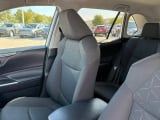 2024 Toyota RAV4 - Preview 11