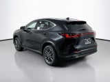2026 Lexus NX - Preview 7