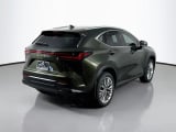2026 Lexus NX - Preview 5