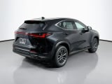2026 Lexus NX - Preview 5