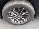 2024 Lexus NX - Preview 9