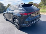 2026 Lexus RX - Preview 3