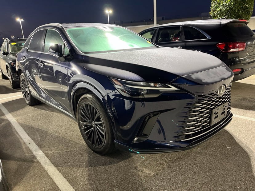 2025 Lexus RX - Image 1