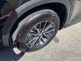 2026 Lexus NX - Preview 9