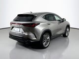 2026 Lexus NX - Preview 4