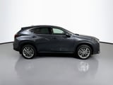 2025 Lexus NX - Preview 4