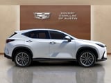2022 Lexus NX - Preview 5