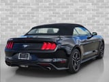 2023 Ford Mustang - Preview 5