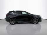2025 Lexus NX - Preview 4