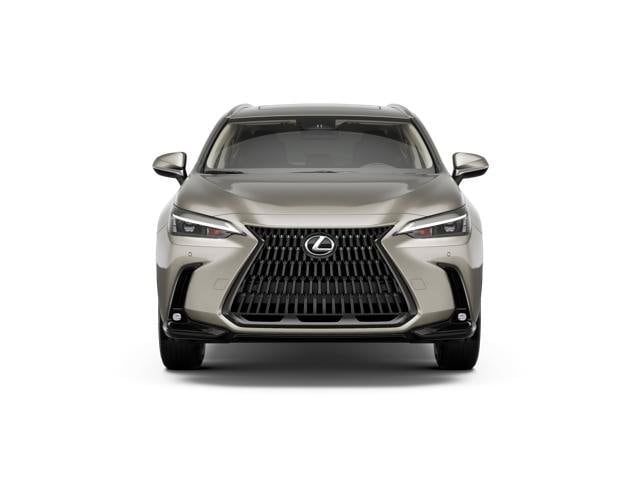 2026 Lexus NX - Image 1