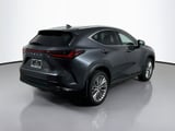 2025 Lexus NX - Preview 5