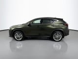 2025 Lexus NX - Preview 8
